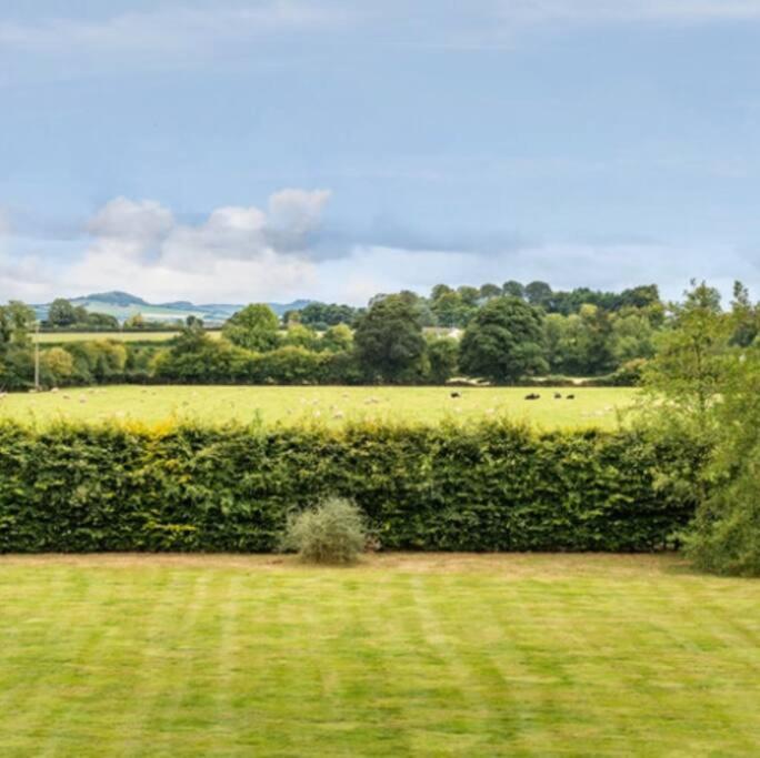 Killenard Kottage, Killenard, Laois Apartment ภายนอก รูปภาพ